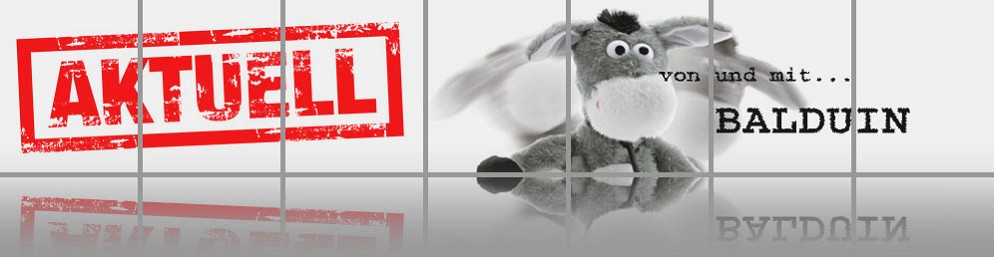 architektin, bruckner-moritsch, barrierefreies bauen, barrierefreiheit, behindertengerechtes bauen, möblierungsplanung, bauüberwachung, planen, bauen, architekturbüro